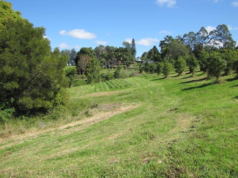 2468 Dunoon Road, Rosebank NSW 2480