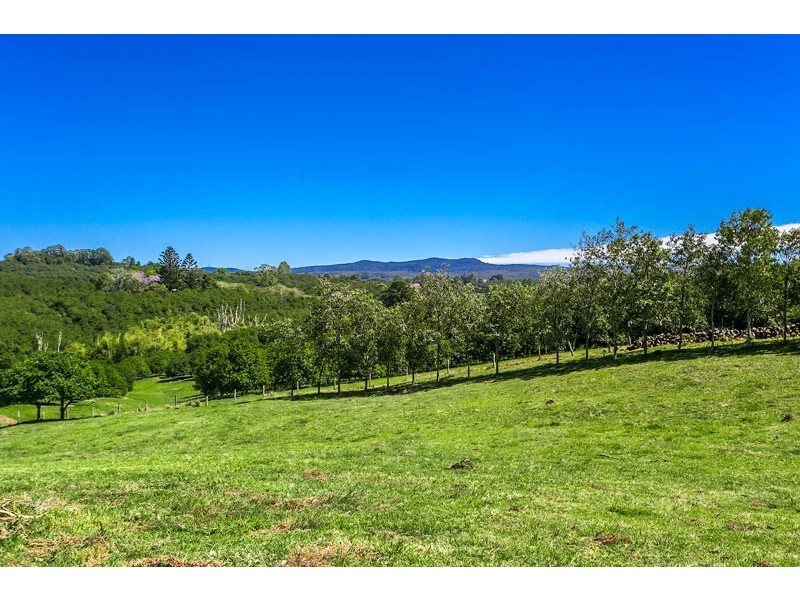 # 251 Rosebank Road, Rosebank NSW 2480