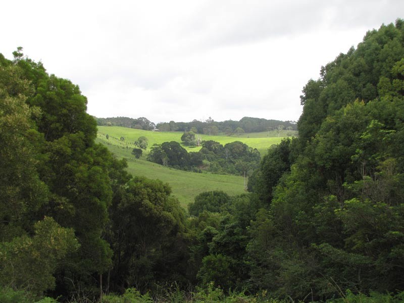 Possum Creek NSW 2479