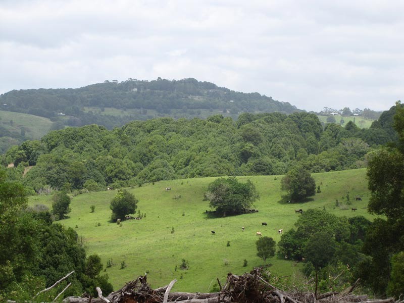 Possum Creek NSW 2479