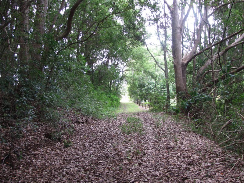 Possum Creek NSW 2479