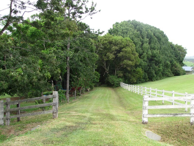 Possum Creek NSW 2479