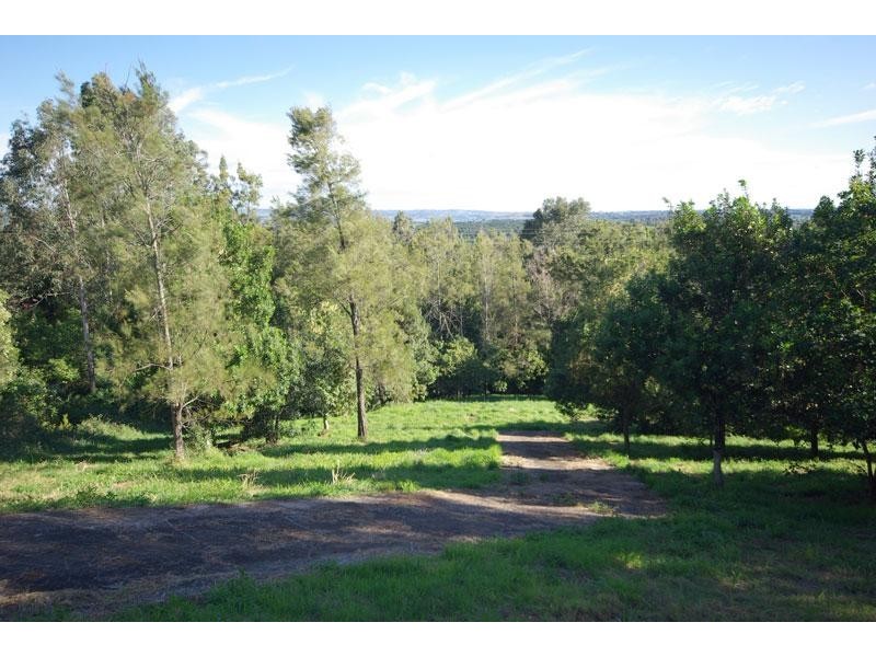 17 Byrne Road, Rosebank NSW 2480