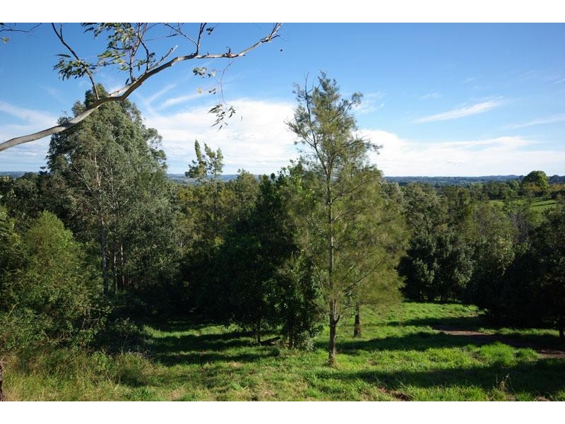 17 Byrne Road, Rosebank NSW 2480