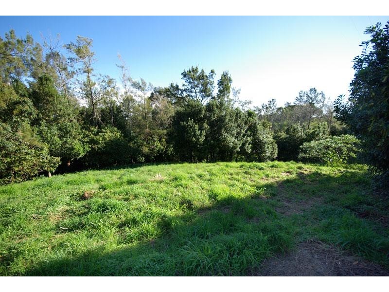 17 Byrne Road, Rosebank NSW 2480