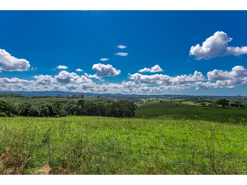 57 James Gibson Road, Clunes NSW 2480