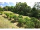 11a Green Frog Lane, Bangalow NSW 2479
