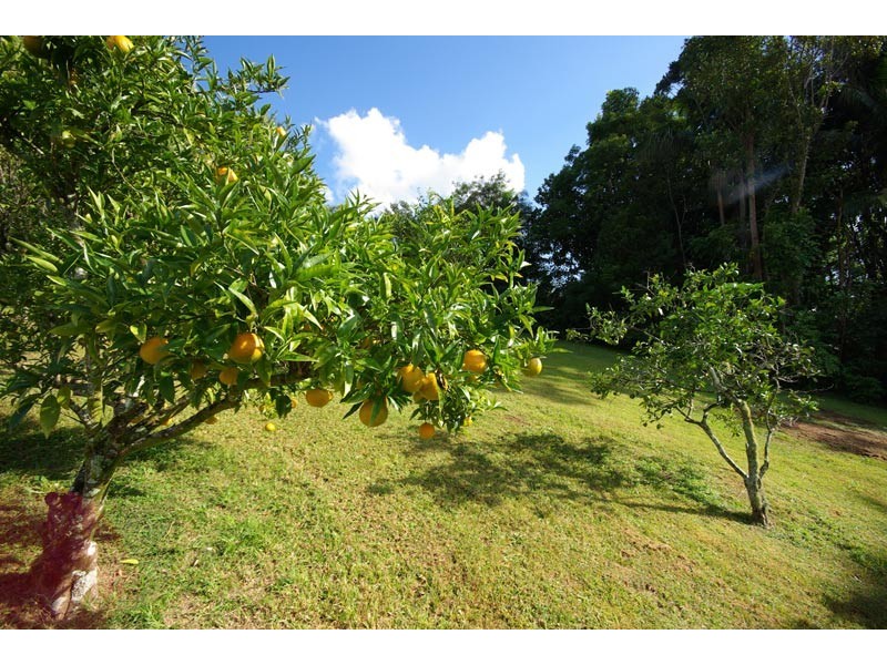 11a Green Frog Lane, Bangalow NSW 2479