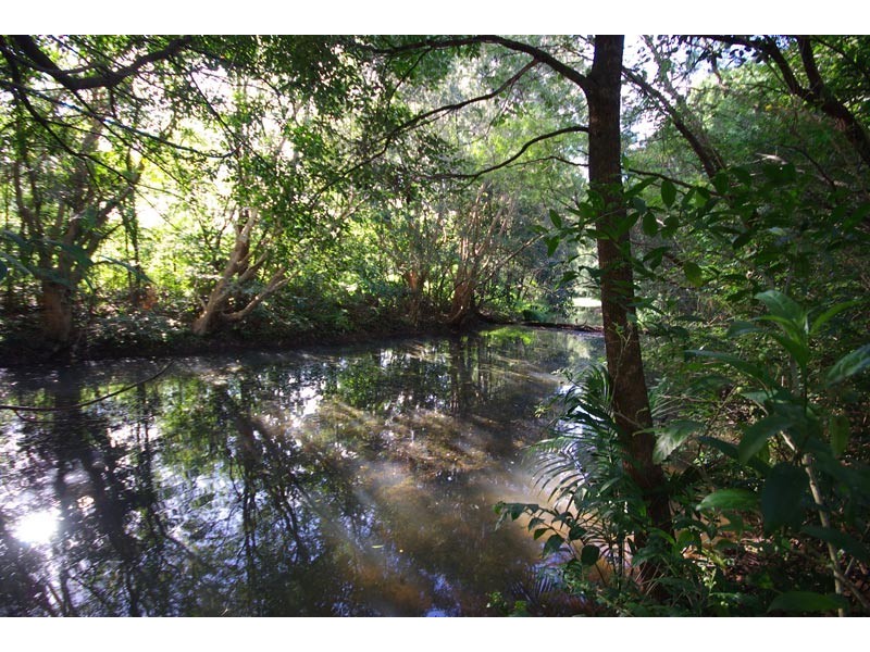 11a Green Frog Lane, Bangalow NSW 2479