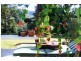 60 Blackbean Road, Wilsons Creek NSW 2482