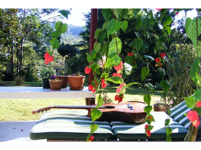60 Blackbean Road, Wilsons Creek NSW 2482