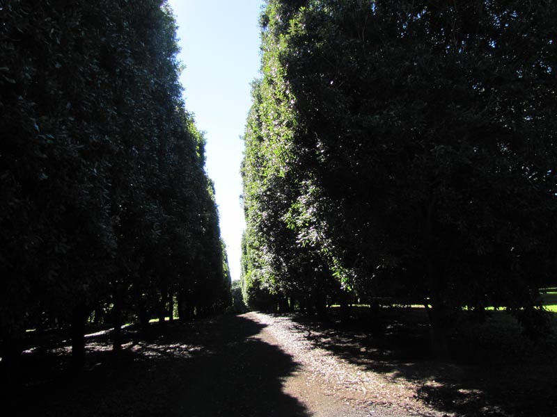 # 1050 Lismore Road, Clunes NSW 2480