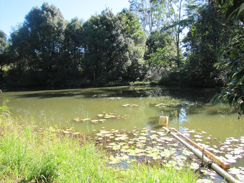 # 1050 Lismore Road, Clunes NSW 2480