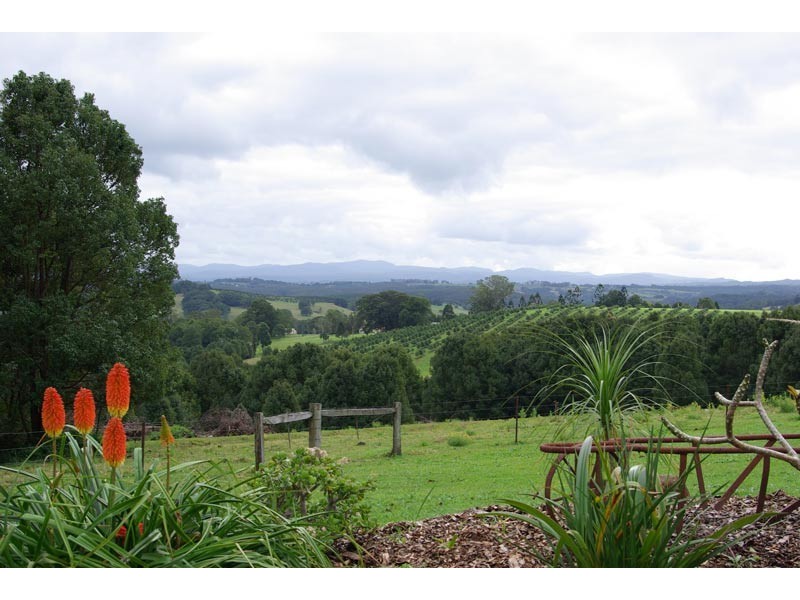 73 Pearces Creek Hall Road, Pearces Creek NSW 2477