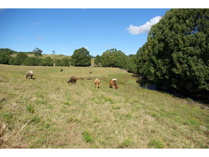 73 Pearces Creek Hall Road, Pearces Creek NSW 2477