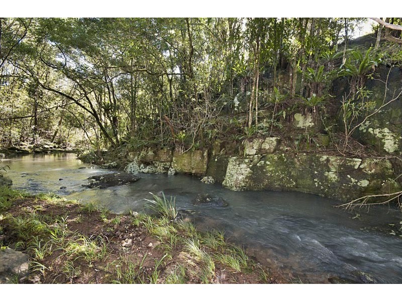 81 Fox Road, Rosebank NSW 2480