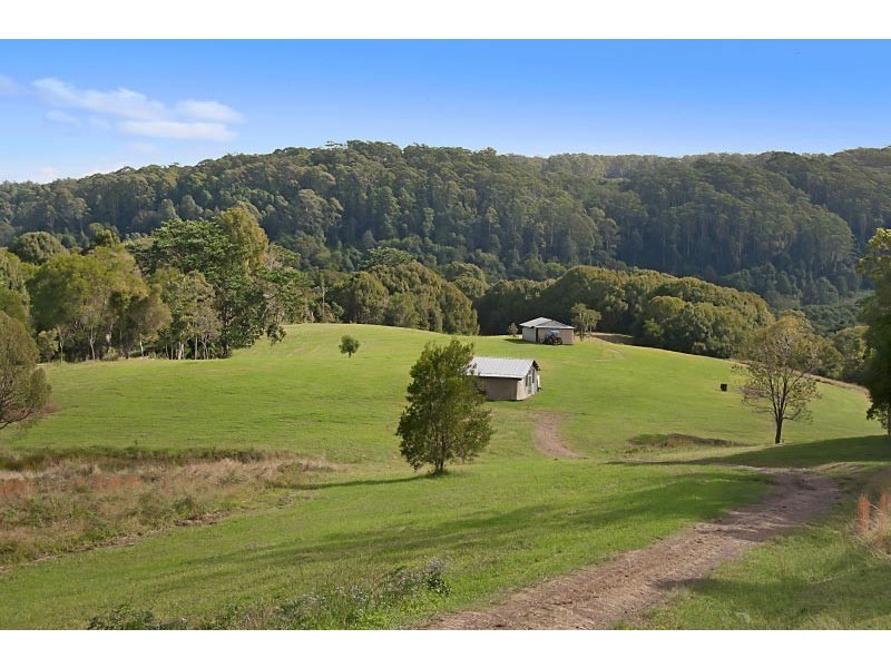 81 Fox Road, Rosebank NSW 2480