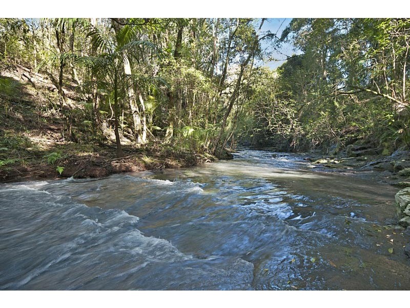 81 Fox Road, Rosebank NSW 2480