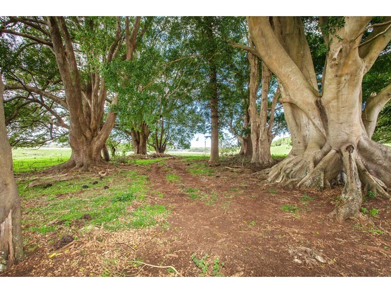 35 The Manse Road, Myocum NSW 2481