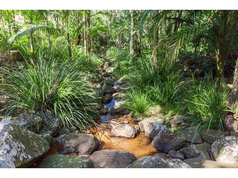 4 Macadamia Lane, Federal NSW 2480