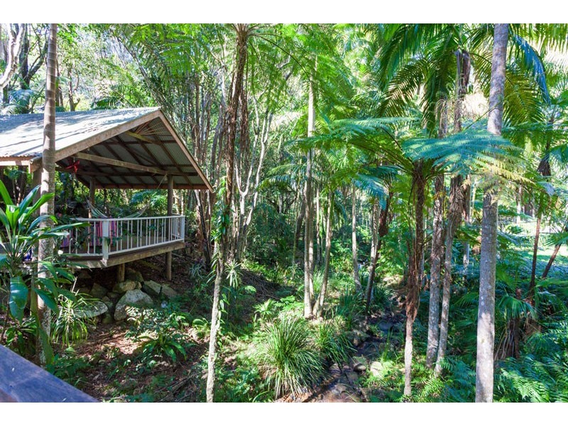 4 Macadamia Lane, Federal NSW 2480