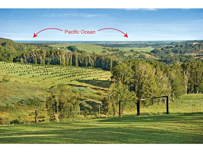 41 Majors Lane, Fernleigh NSW 2479