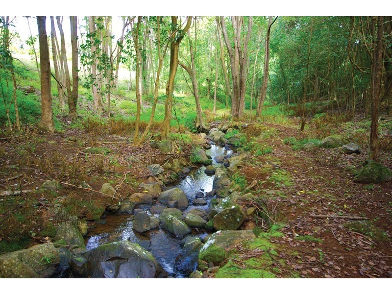 41 Majors Lane, Fernleigh NSW 2479