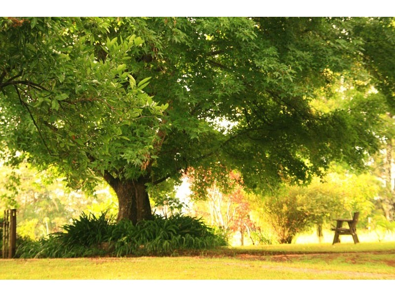 255 Goremans Road, Eureka NSW 2480