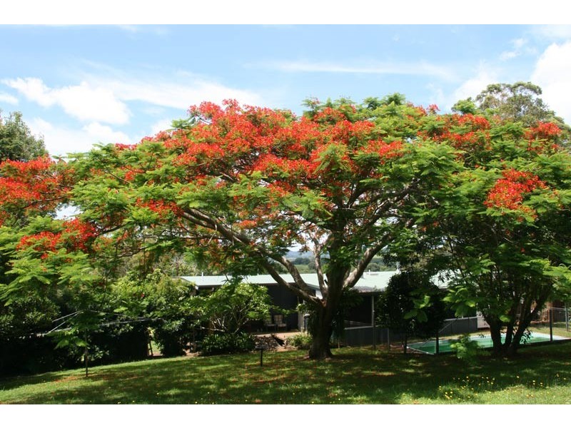 255 Goremans Road, Eureka NSW 2480