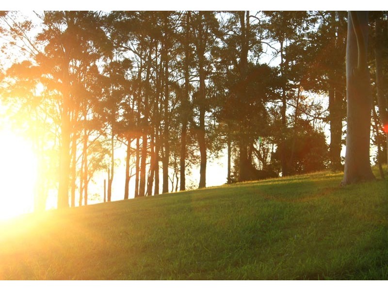 255 Goremans Road, Eureka NSW 2480