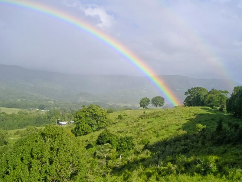 13 Grand Valley Court, Mullumbimby NSW 2482