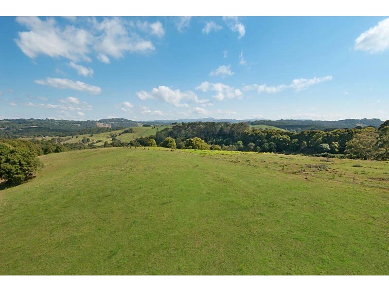 # 228 Friday Hut Road, Possum Creek NSW 2479