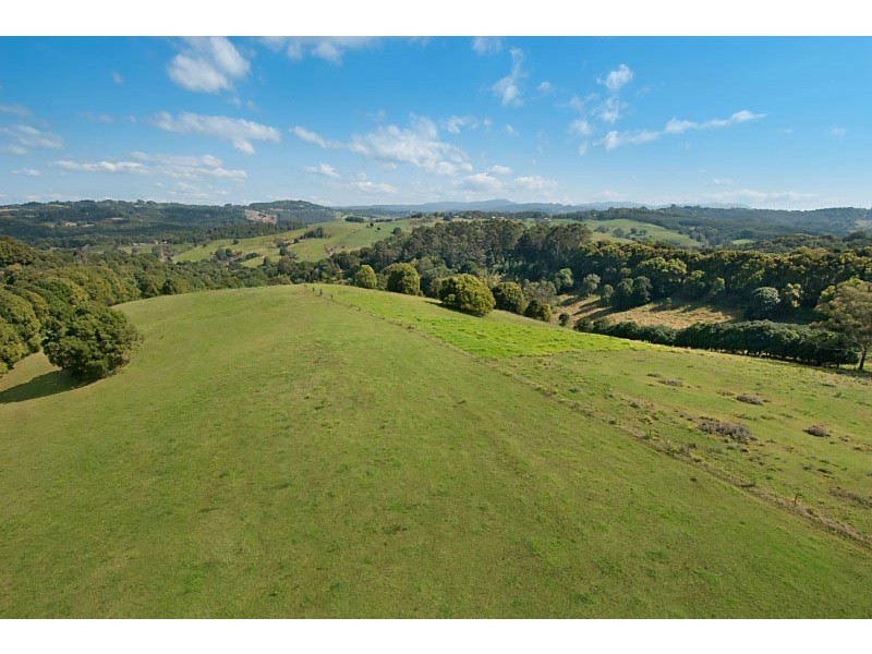 228 Friday Hut Road, Possum Creek NSW 2479