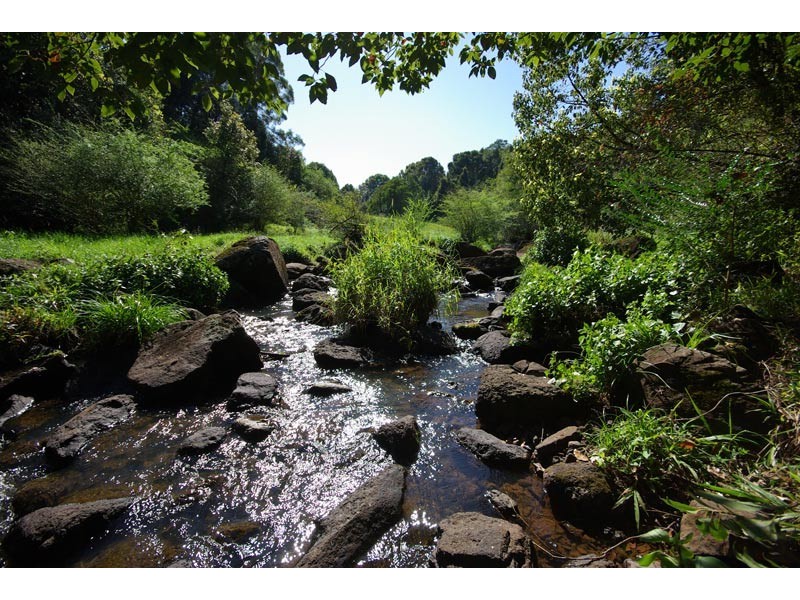 228 Friday Hut Road, Possum Creek NSW 2479