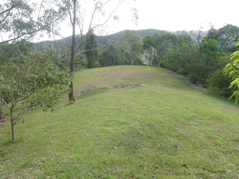 15 Minyon Falls Road, Repentance Creek NSW 2480