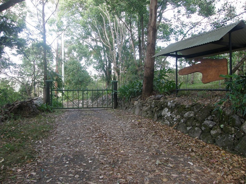 15 Minyon Falls Road, Repentance Creek NSW 2480