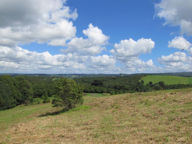 Lot 3 Teak Lane, Federal NSW 2480