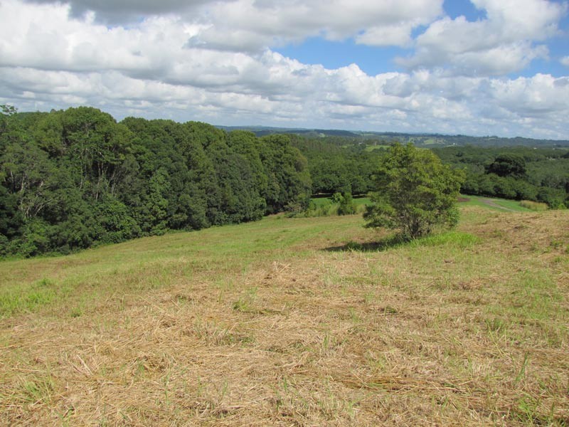 Lot 3 Teak Lane, Federal NSW 2480