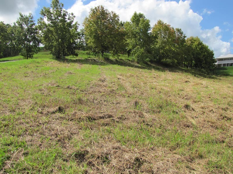 Lot 3 Teak Lane, Federal NSW 2480