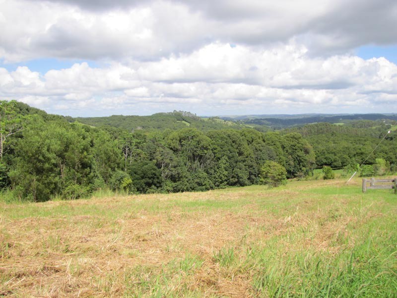 Lot 3 Teak Lane, Federal NSW 2480