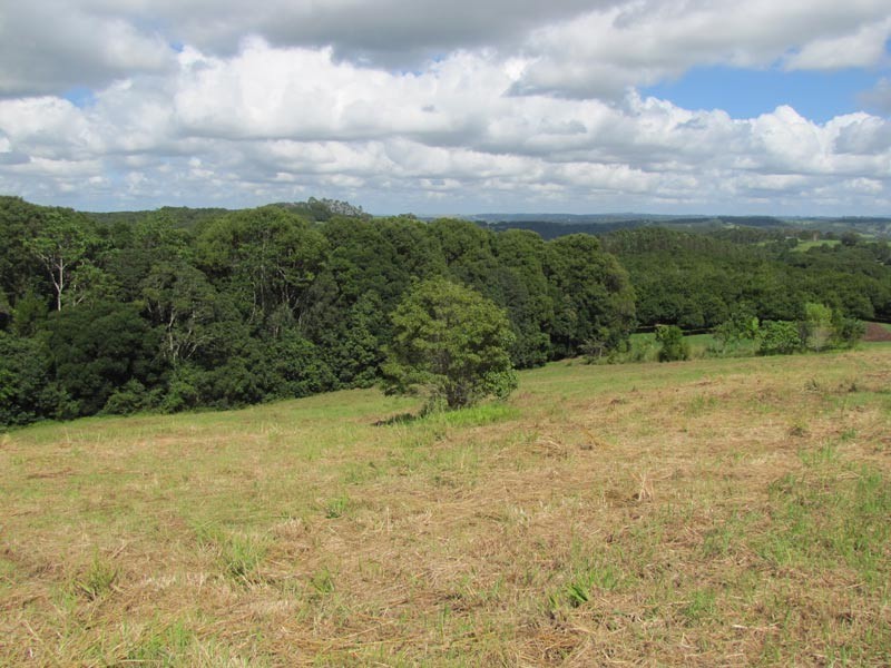 Lot 3 Teak Lane, Federal NSW 2480