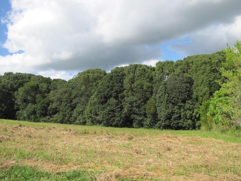 Lot 3 Teak Lane, Federal NSW 2480