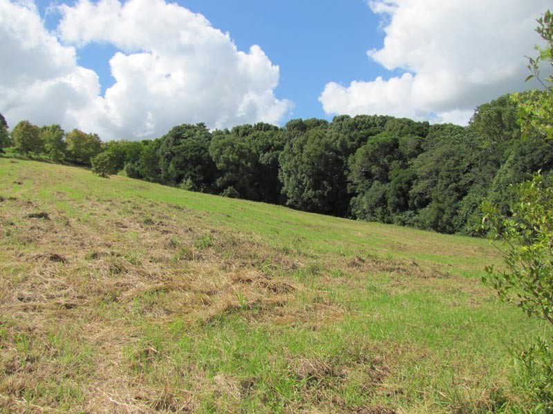 Lot 3 Teak Lane, Federal NSW 2480