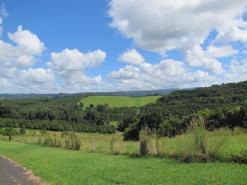 Lot 3 Teak Lane, Federal NSW 2480