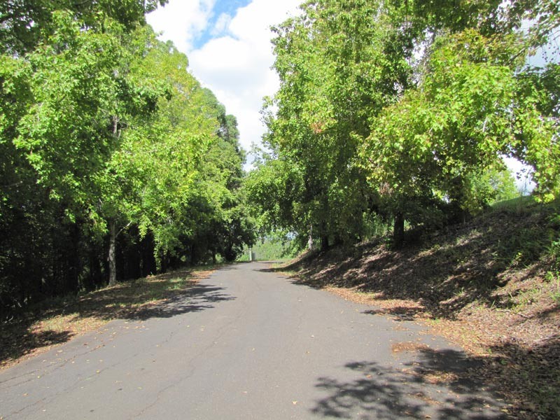 Lot 3 Teak Lane, Federal NSW 2480