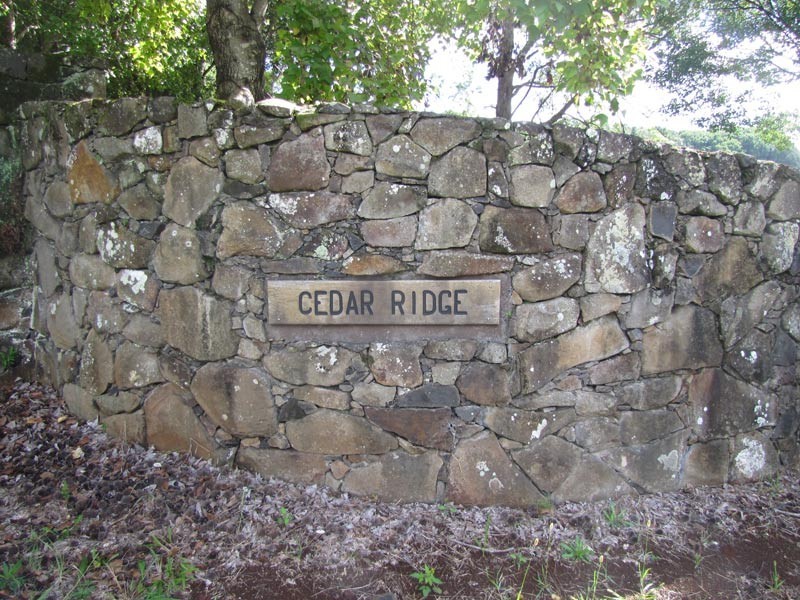 Lot 3 Teak Lane, Federal NSW 2480