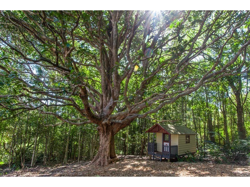 # 824 Friday Hut Road, Binna Burra NSW 2479