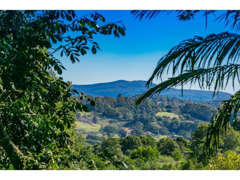 824 Friday Hut Road, Possum Creek NSW 2479