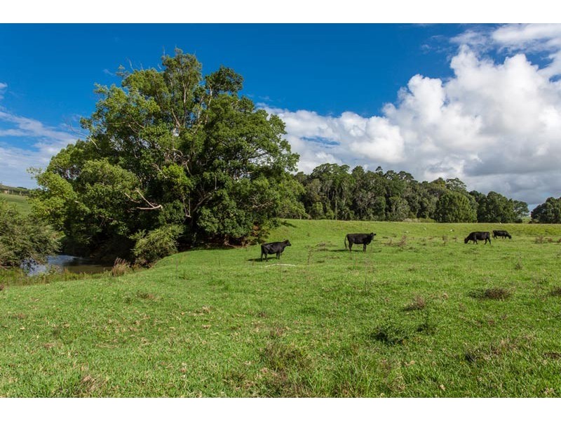 Lot 12 “The Meadows” Off Charlotte Street, Bangalow NSW 2479