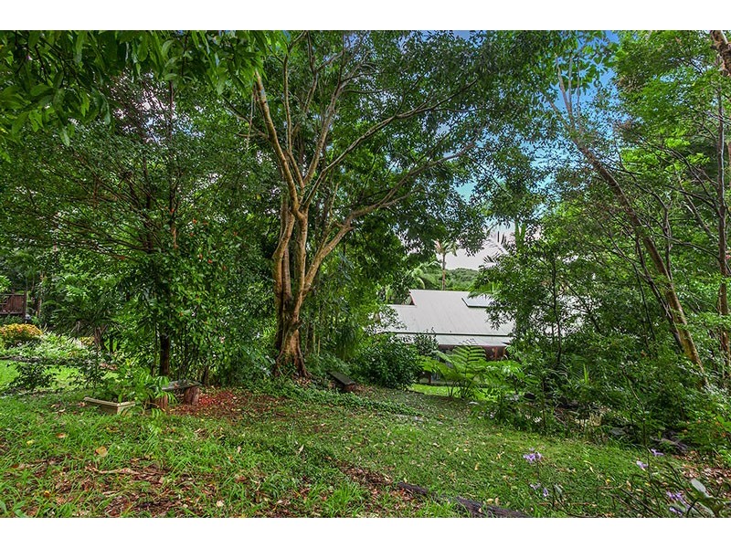 16 Palm Tree Crescent, Bangalow NSW 2479